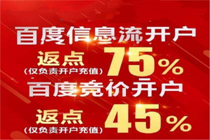 充值高返点背后的策略与技巧：案例分析